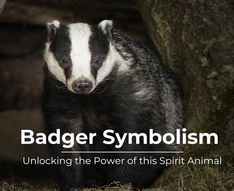 Badger Symbolism Unlocking The Power Of This Spirit Animal