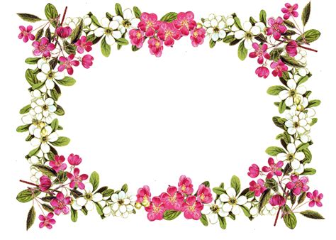 Download Floral Frame Image HQ PNG Image | FreePNGImg
