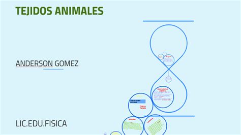 Tejidos Animales By Anderson Gomez