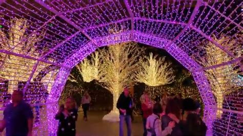 Enchant Christmas Worlds Largest Christmas Light Maze St Petersburg