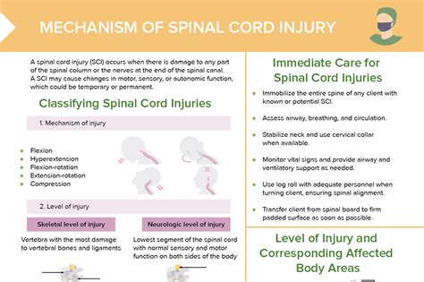 Spinal Cord Injury Levels Free Cheat Sheet Lecturio