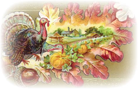 Free Elegant Thanksgiving Cliparts Download Free Elegant Thanksgiving Cliparts Png Images Free