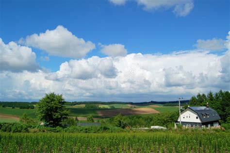Beautiful Hokkaido Rural Scenery Stock Image Image Of Hokkaido