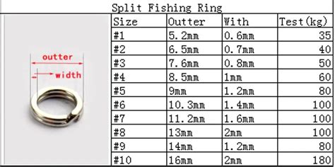 Oval Split Ring Size Chart Chart Examples