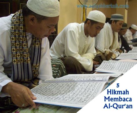 Fungsi quran untuk umat islam (egypt independent). 5 Hikmah Membaca Al-Qur'an | Qur'an, Membaca, Pendidikan