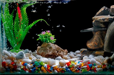 Diy Fish Tank Decorations How To Make Aquarium Decorations At Home