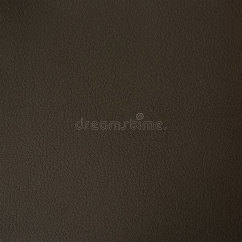 Dark Brown Leather Texture Stock Photo Image Of Blank 146728902