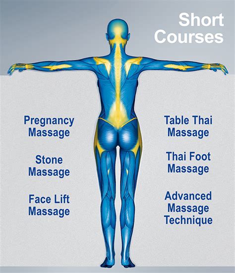Massage Therapy Courses Brighton School Of Massage