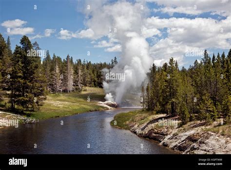 Riverside Geyser Located On The Firehole River Of Yellowstone National