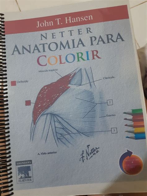 Netter Para Colorir Livro Netter Usado 67809093 Enjoei