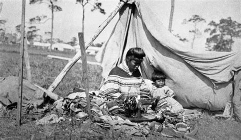 Florida Memory Seminole Women Sewing Under Canvas Shelter With Child