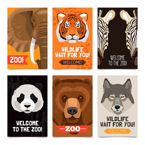 Pin By Ramco Lifestyles On Designs For Baby Zoo Poster Design