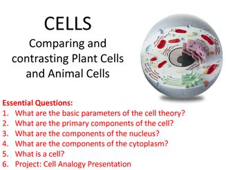 Cell membrane some of these organelles are not surrounded by a membrane and are called the cytoskeleton is a structure that helps cells maintain their shape and internal organization, and it also provides mechanical support that enables cells to. info animal/plant cell - animal and plant cells