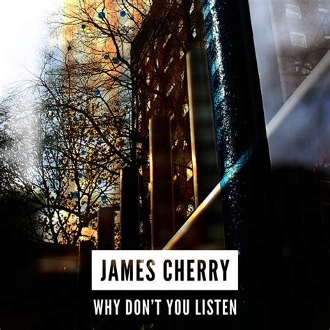 Why Dont You Listen Song And Lyrics By James Cherry Spotify