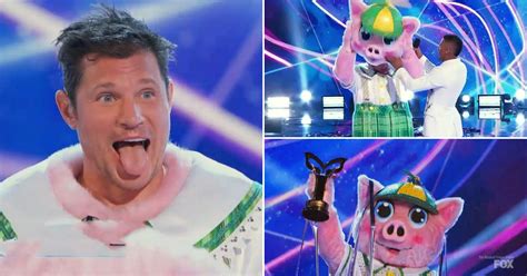 Assoziieren Shipley Tiger Masked Singer Us Halbleiter Geeignet Aufbewahrung