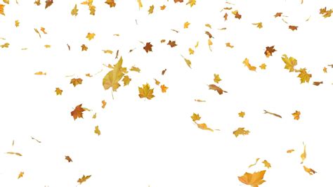 Show them an animated image to make them bisy while waiting. "Autumn Leaves PNG Transparent Images, Pictures, Photos ...