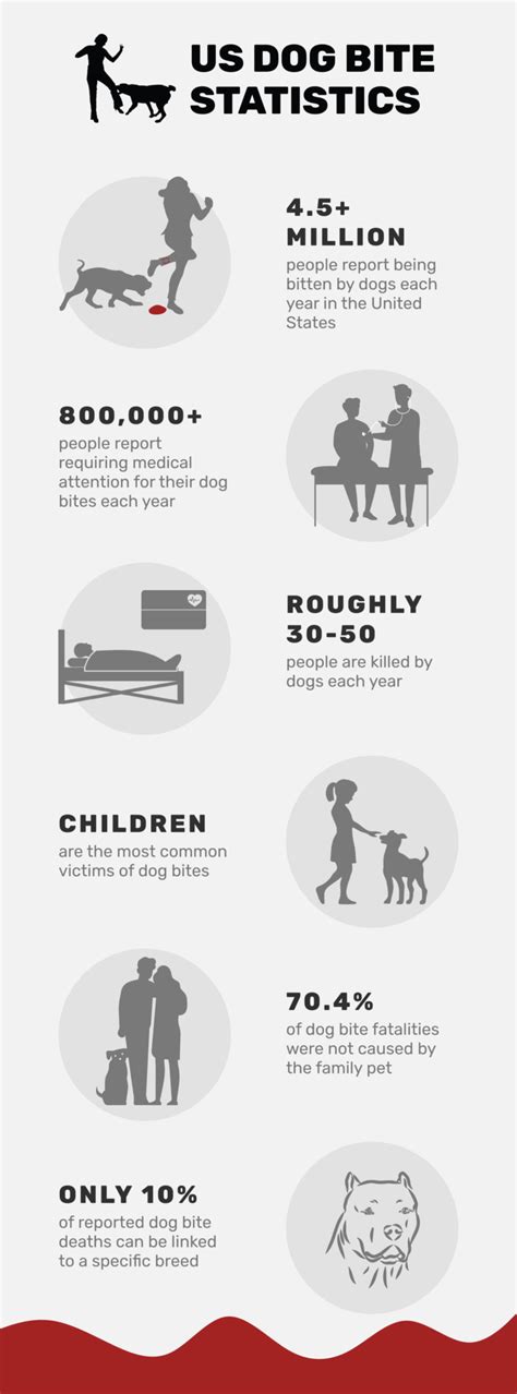 20 Dog Bite Statistics In 2023 By Breed Incidences And Deaths Pet