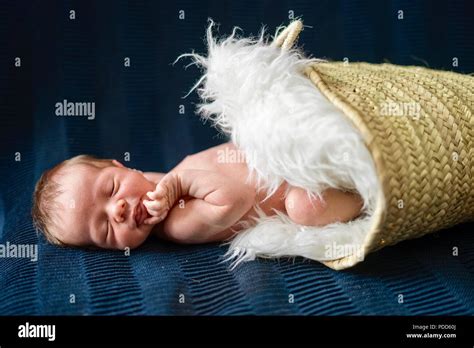 A Cute Newborn Baby Boy Sleeping In The Basket Stock Photo Alamy