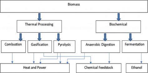 Bioenergy Potential Of Turkeys Forest Sources Biomass Energy