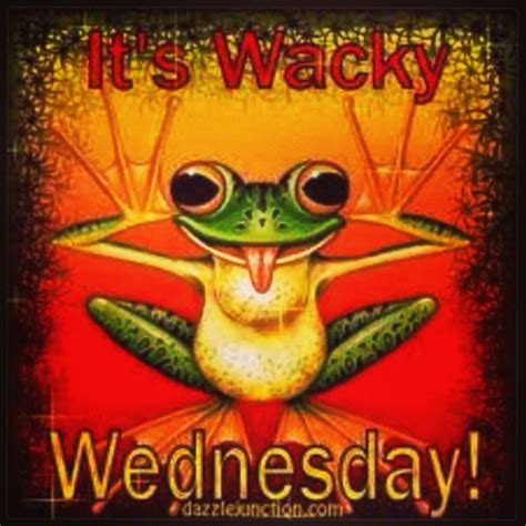 #It's wacky Wednesday! ♥️? | Wednesday humor, Wacky wednesday, Good morning wednesday