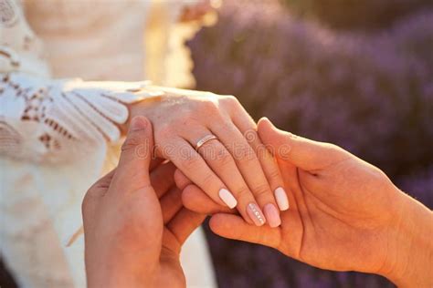 Marriage Proposal In A Field Of Lavender Stock Image Image Of