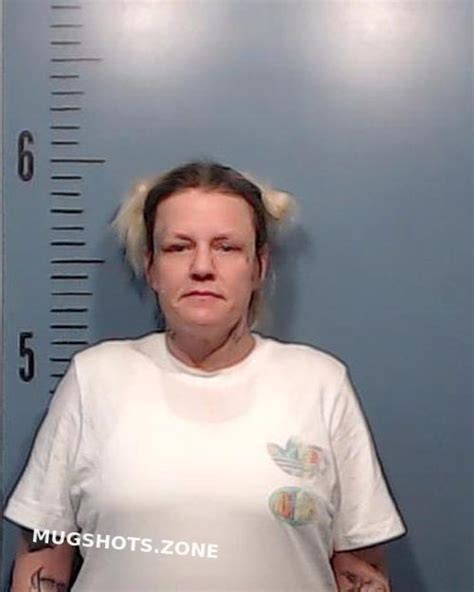 Murrell Misty Lynn 08182023 Taylor County Mugshots Zone