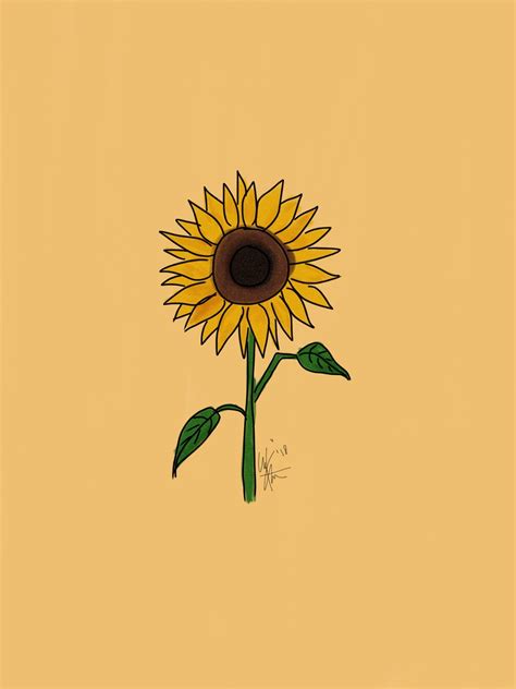 Sunflower Drawing Wallpapers Bigbeamng