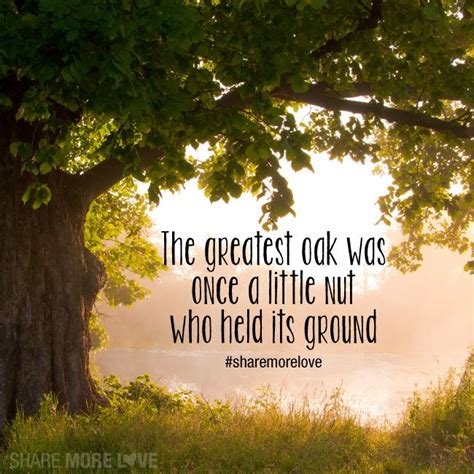 Pin By Connie Kollmeyer On Resources Cute Inspirational Quotes Tree