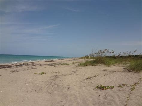 Aerial View Of Blind Creek Beach Clothing Optional Section Picture