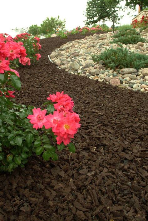 See more ideas about landscape, backyard landscaping, yard landscaping. Roses and Brown Rubber Mulch for low maintenance Gardens ...