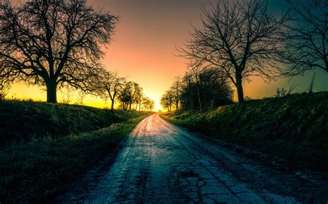 Wallpaper Sunlight Forest Sunset Night Nature Road Sunrise