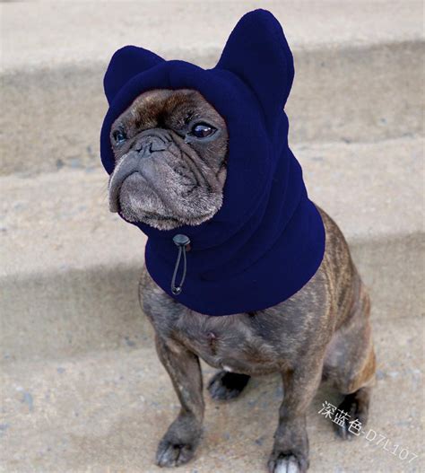 Dog Hat Winter Pet Solid Color Hat French Bulldog Warm Hat Etsy