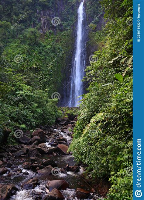 Chutes Du Carbet Guadeloupe National Park Stock Photo Image Of Park