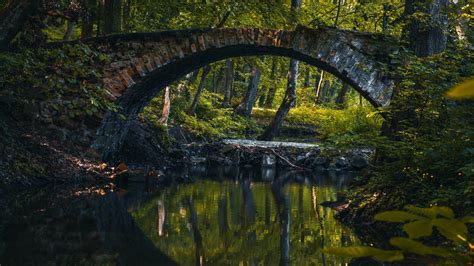 Forest Bridge Reflection On Pond 4k Hd Nature Wallpapers Hd