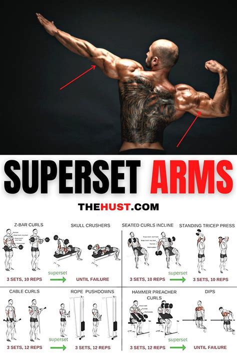 ultimate arms workout challenge for size arms workout plan arm workout arm day workout