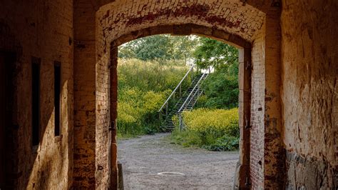 Download Wallpaper 2560x1440 Tunnel Stairs Trees Bricks Widescreen