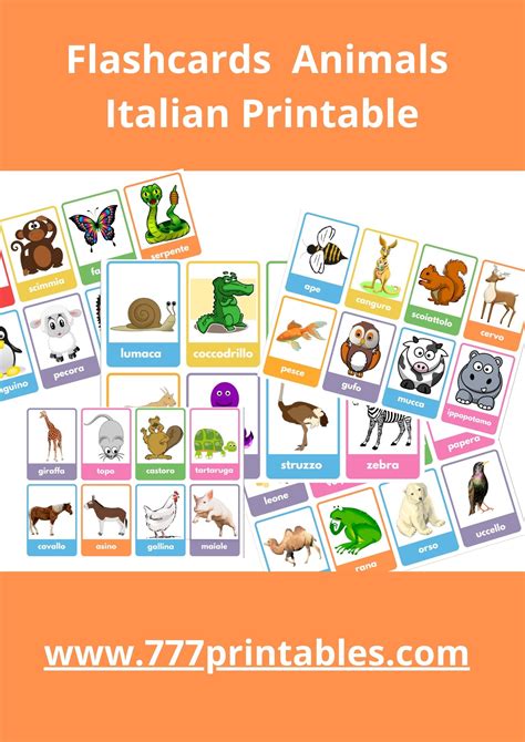 Italian Flashcards Animals Printable Payhip