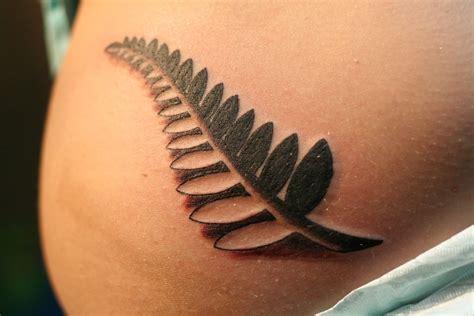 Fern Tattoos Inspiring Tattoos Fern Tattoo New Zealand Tattoo