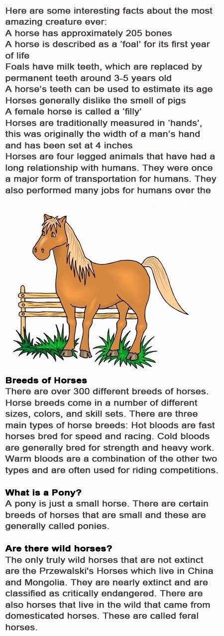 Childhood Education Horse Fun Facts For Kids Fun Facts