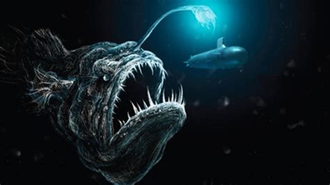 Amazing Deep Sea Creatures Top 10 Youtube