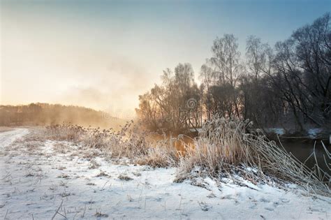 Winter Misty Morning On The River Rural Foggy And Frosty Scene Stock