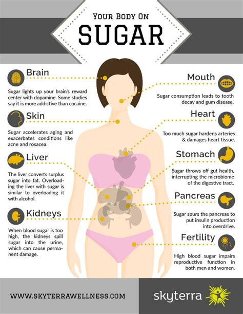 Your Body On Sugar An Infographic Examining System Wide Effects By