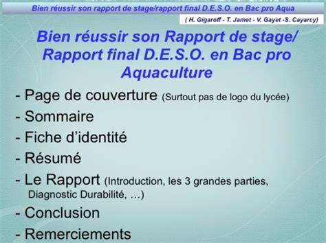 Exemple Conclusion Rapport De Stage Bac Pro Assp Jermanmexi