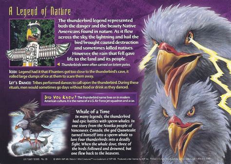 Thunderbird Weird Creatures Legends And Myths Wild Creatures