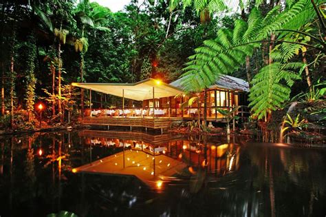 6 The Most Green And Eco Friendly Resorts In The Daintree Rainforest