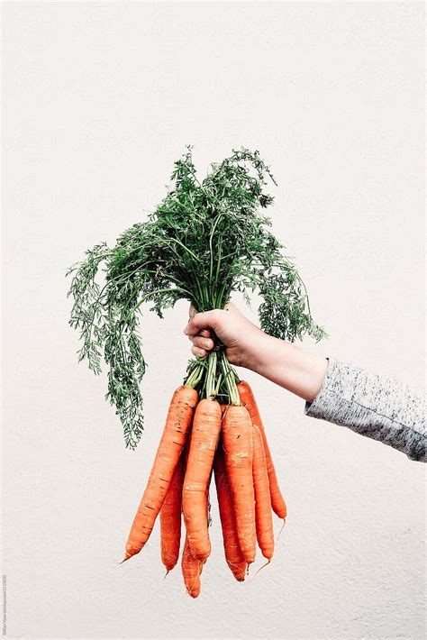 Hand Holding A Bunch Of Fresh Carrots Against A Blank Wall Stocksy