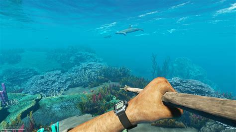 Stranded Deep Ab Oktober Auf Playstation 4 Und Xbox One