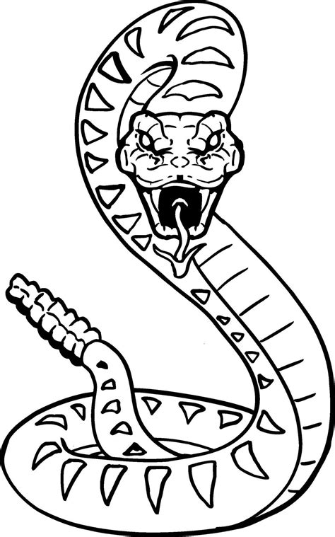 The best selection of royalty free snake drawings vector art, graphics and stock illustrations. Viper Snake Drawing at GetDrawings | Free download