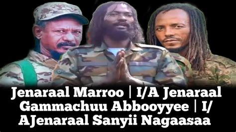 Oduu Hatattama Xumura Marii Ajajota Wbo Oromia Ijaruuf Lola Egalu Youtube