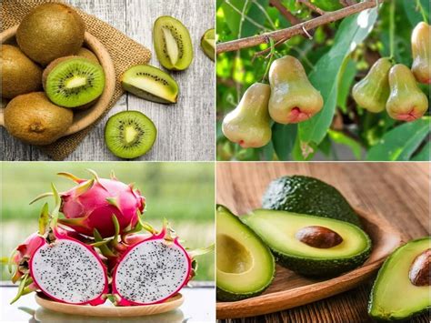 A Complete Guide On How To Grow Exotic Fruits